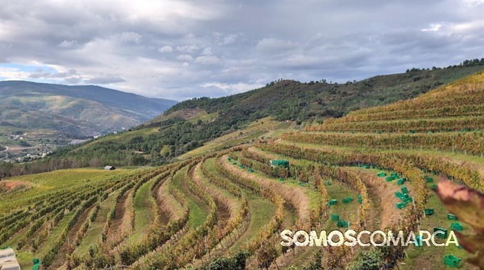 somoscomarca_241011_entoma_roandi561