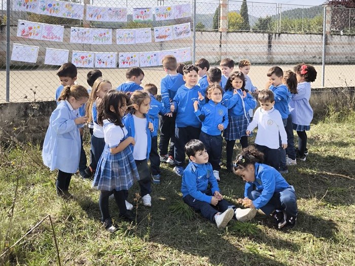 somoscomarca_20241015_arua_pablovi_ensino_huerto (4)