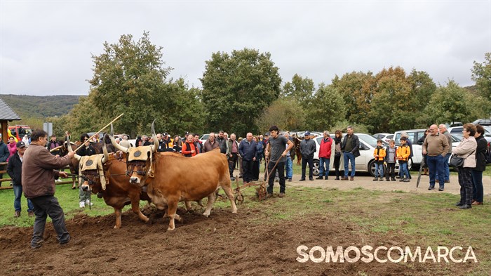 somoscomarca_20241018_roandi_aeva_asamblea_homenaje_luisalopez4003