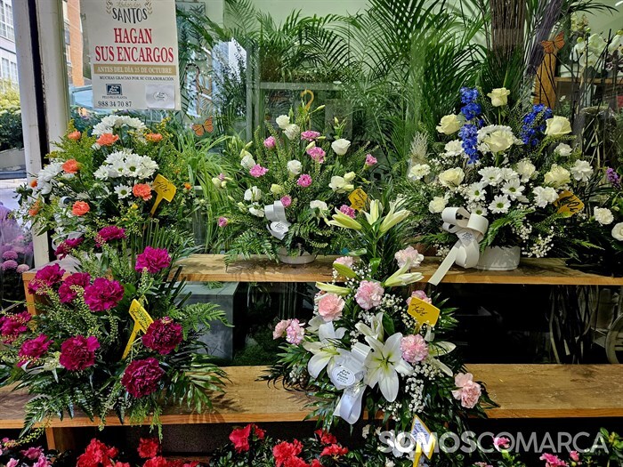 somoscomarca_241025_obarco_pelopicoplanta_santos_flores636