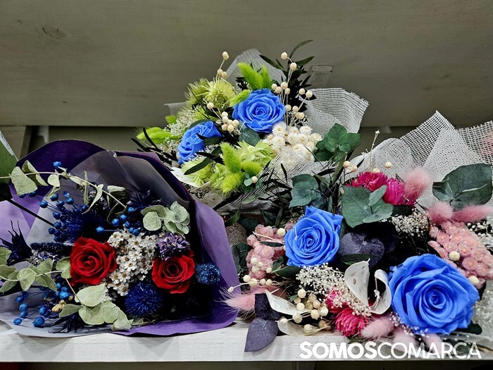 somoscomarca_241025_obarco_pelopicoplanta_santos_flores643