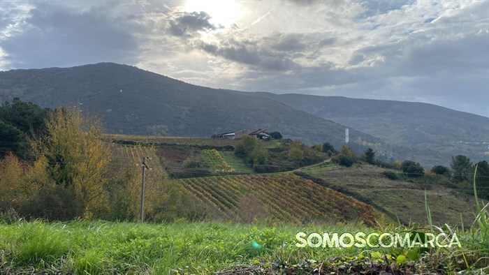 somoscomarca20241116_arua_rutadelvino_melillas150