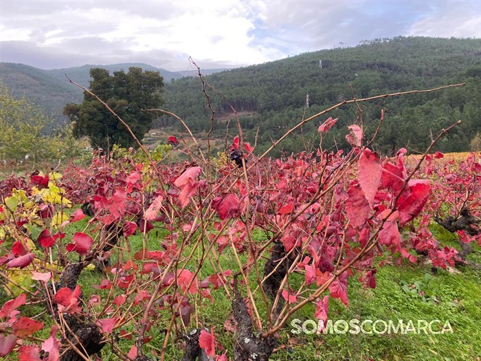 somoscomarca20241116_arua_rutadelvino_melillas153