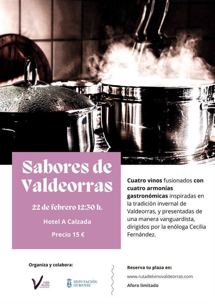 somoscomarca20250206_obarco_cartel_rutadoviño272