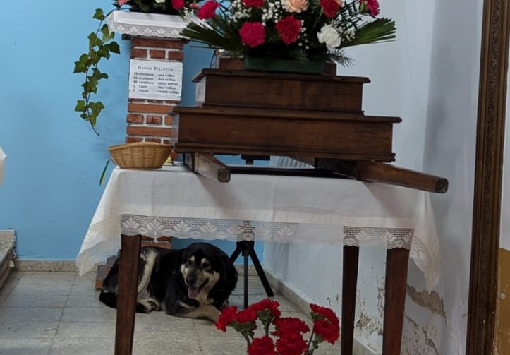 somoscomarca_carballal_santaapolonia_perro