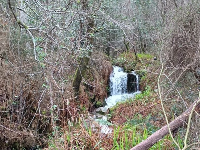 somoscomarca_andaina_clubpeñatrevinca_noia_andaina25kmjpg (6)