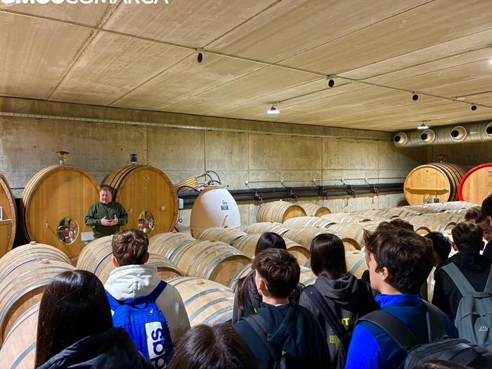 somoscomarca_ieslauroolmo_actividades_cufica_virxedegalir (3)