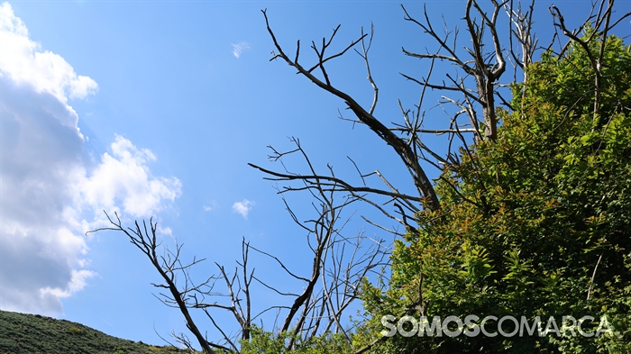 somoscomarca_caminodeespaña_sampaio_correxais (27)