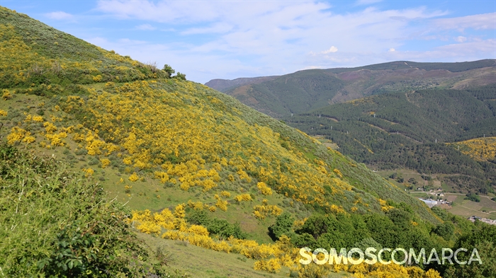 somoscomarca_caminodeespaña_sampaio_correxais (48)
