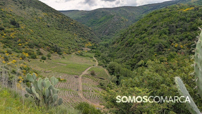 somoscomarca_caminodeespaña_sampaio (2)