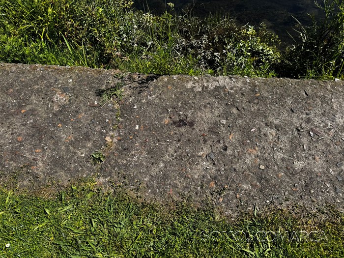 somoscomarca_20250526_obarco_robo_veterinaria_valcan361