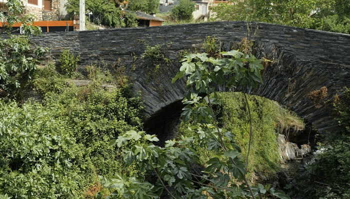 somoscomarca_20250612_obarco_vinosbarco_picnicsenxebres491