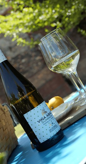 somoscomarca_20250612_obarco_vinosbarco_picnicsenxebres492