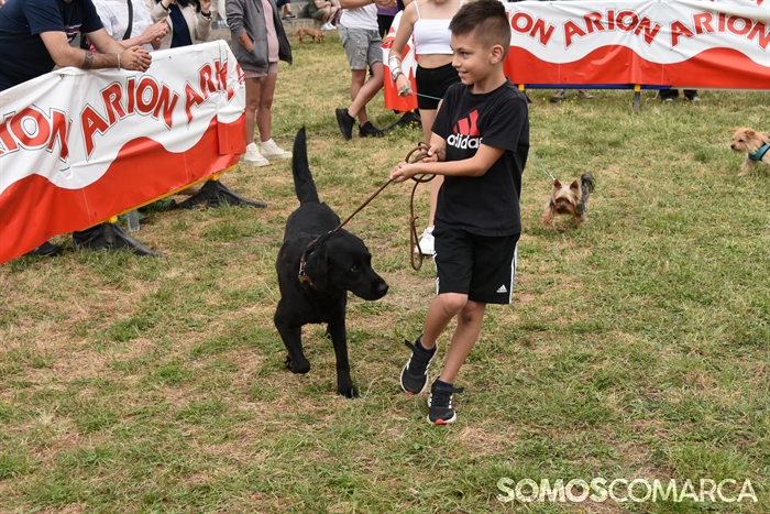 somoscomarca_20250614_arua_oaguillon_concursocanino_perros (56)