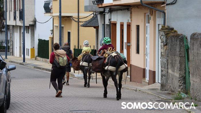 somoscomarca_arua_obarco_alfombrascorpus_1710 (21)