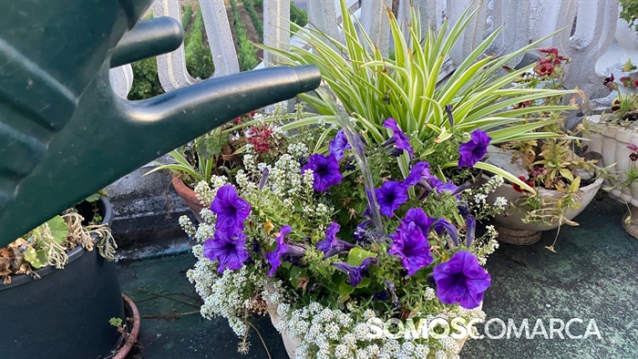 somoscomarca_riego_regadera_aspersor_agua (1)