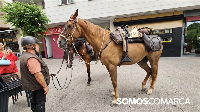 somoscomarca_20250718_camiñoinverno__caballos_cordobeses (1)