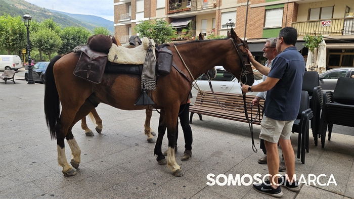 somoscomarca_20250718_camiñoinverno__caballos_cordobeses (2)
