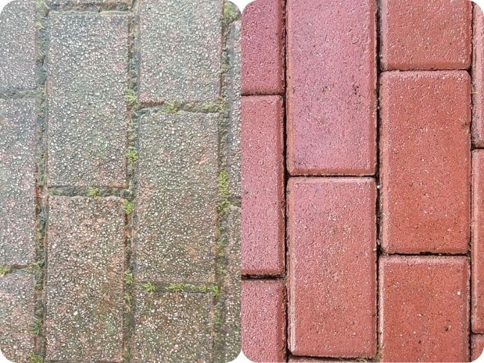 somoscomarca_20250801_obarco_limpieza763