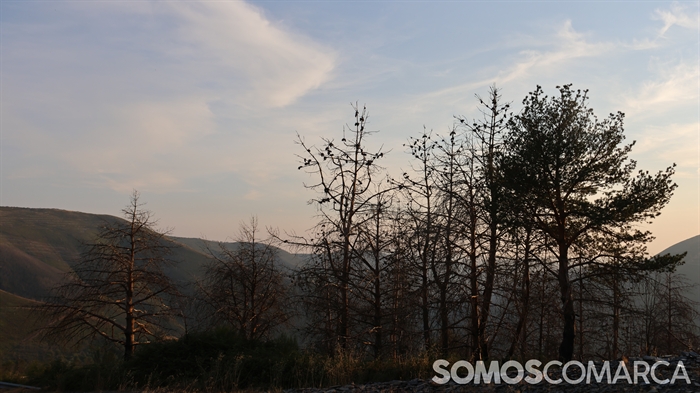 somoscomarca_202508_caurel_filandondemusicas_merelles_foxo_lolacastro_joseluisriberaJPG (23)