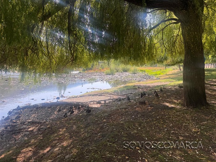 somoscomarca_20250803_obarco_AVISOROJO_CALOR827