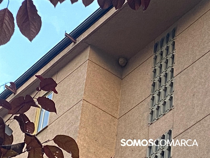 somoscomarca_20250805_concellodeobarco_avispavelutina_nido_eulogiofernandez_bomberos (1)