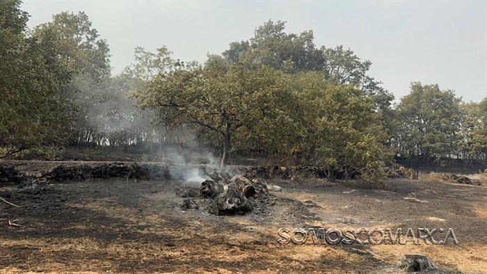 somoscomarca_20250813_Chandrexa_manzaneda_trives_incendios957