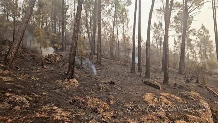 somoscomarca_20250816_vilamartin_incendio1073