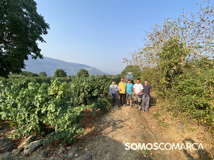 somoscomarca_vilamartin_vendimia_portela_valdesil (1)