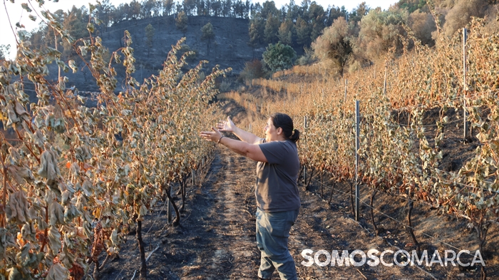 somoscomarca_albaredos_incendio_albaredos_hobbs3401