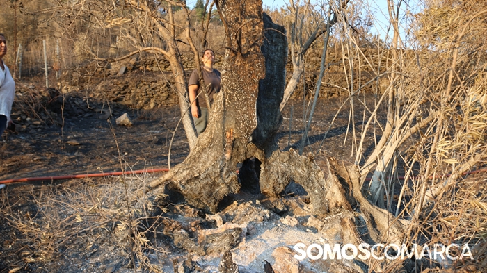 somoscomarca_albaredos_incendio_albaredos_hobbs3403