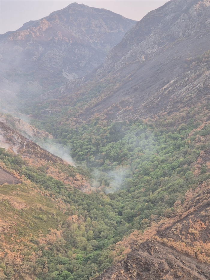 somoscomarca_carballeda_incendio_teixadal3409