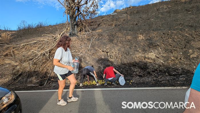 somoscomarca_santamariña_omeiral_fervenza_voluntarios_comidaanimales (3)