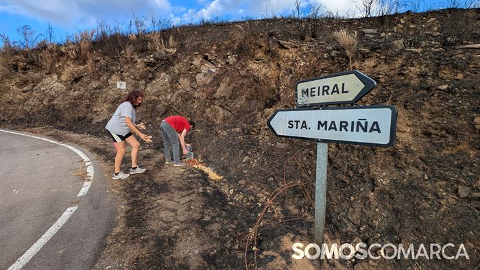 somoscomarca_santamariña_omeiral_fervenza_voluntarios_comidaanimales (4)