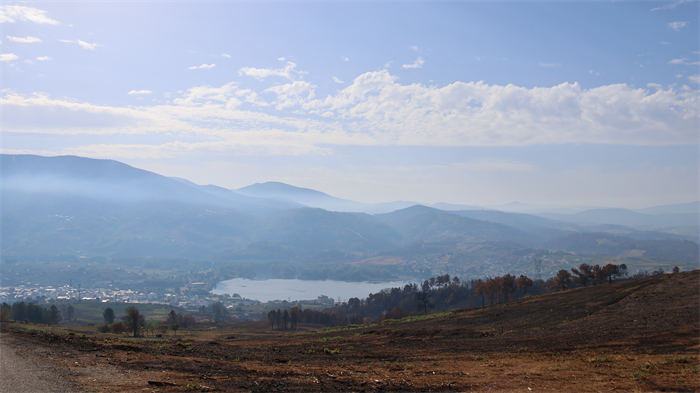 somoscomarca_20250919_arua_viñedo_joquinrebolledo_aeva_viñedoquemado_panoramica (1)