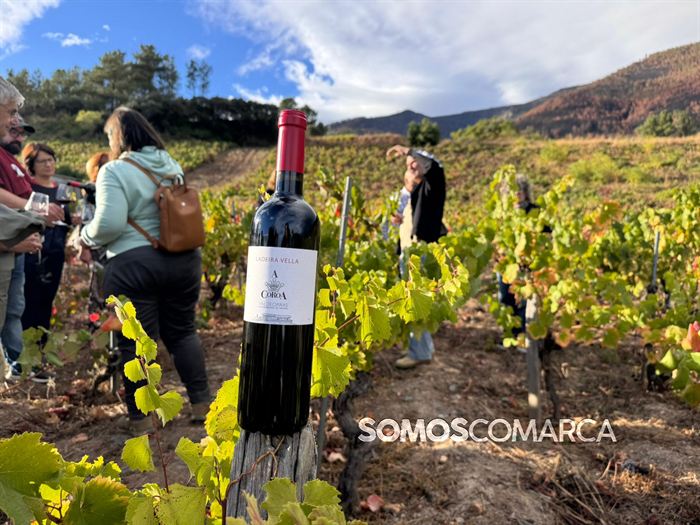 somoscomarca_vino_parcela_fardelas_milrios_cepasvellas_revival833