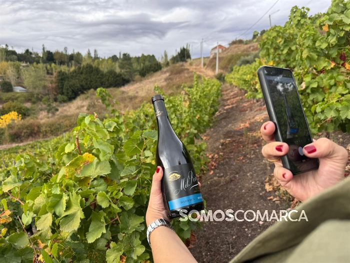 somoscomarca_vino_parcela_fardelas_milrios_cepasvellas_revival835
