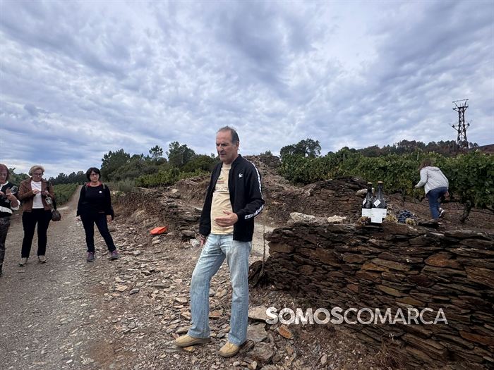 somoscomarca_vino_parcela_fardelas_milrios_cepasvellas_revival837