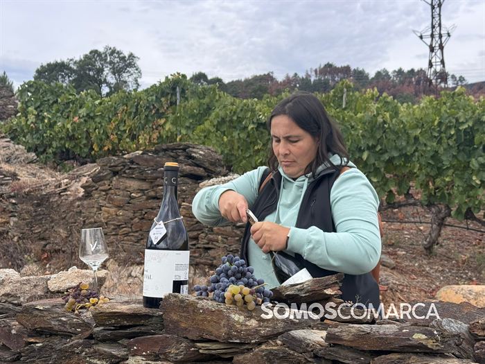 somoscomarca_vino_parcela_fardelas_milrios_cepasvellas_revival838