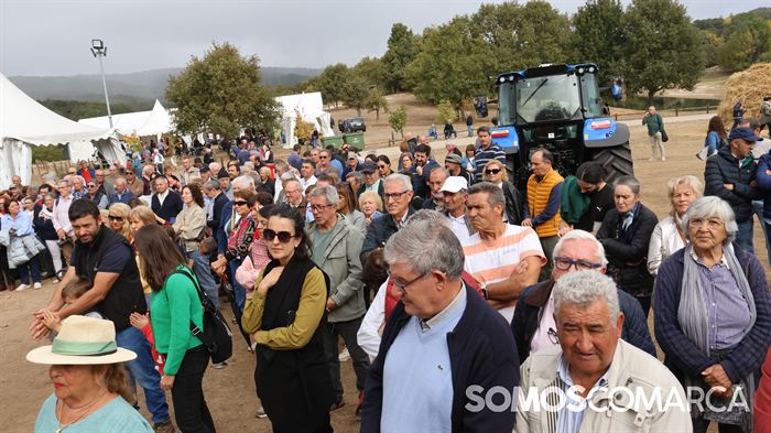 somoscomarca_aveiga_crianzatrevinca_feiraagrogandeira_20251004988