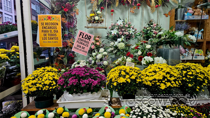 somoscomarca_20251024_obarco_pelopicoplanta_floressantos (4)