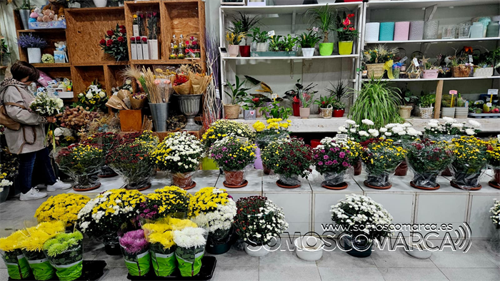 somoscomarca_20251024_obarco_pelopicoplanta_floressantos (5)