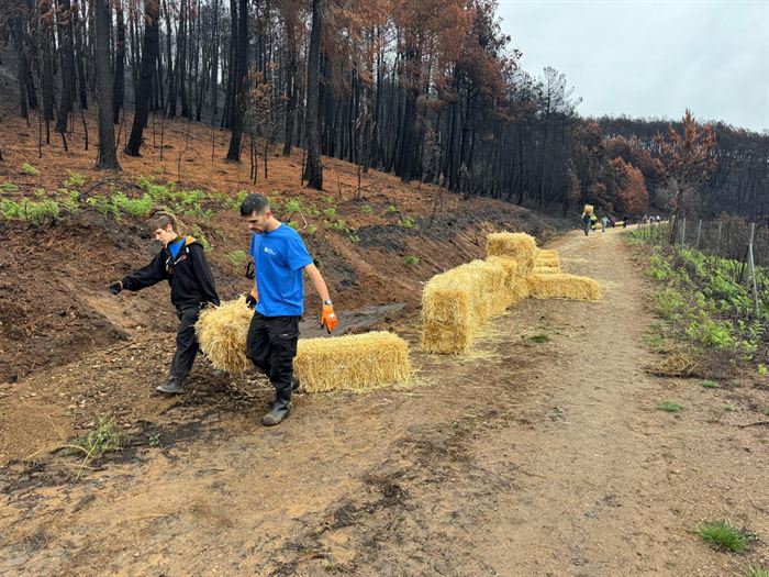 somoscomarca_vilamartin_voluntariado_mulching (1)