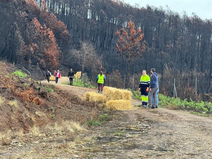 somoscomarca_vilamartin_voluntariado_mulching (2)