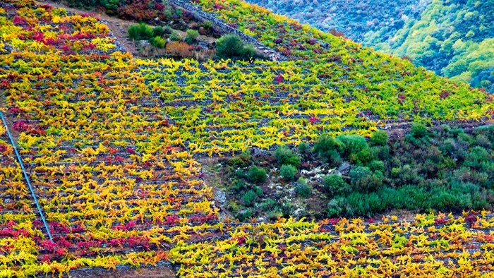 somoscomarca_20251030_obarco_campaña_turismodegalicia1902