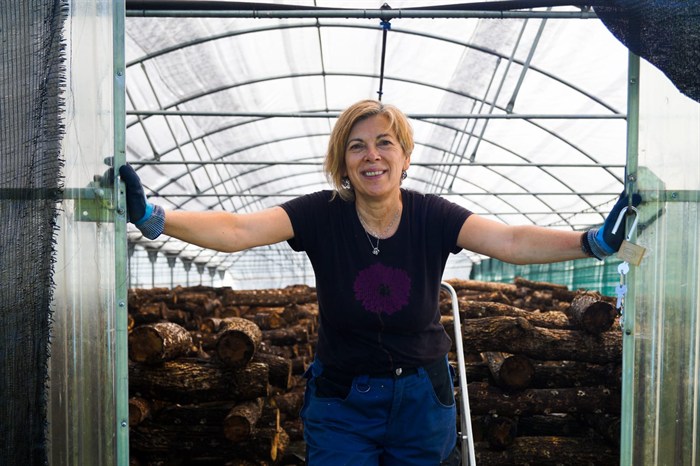 somoscomarca_20251107_trives_setas1969