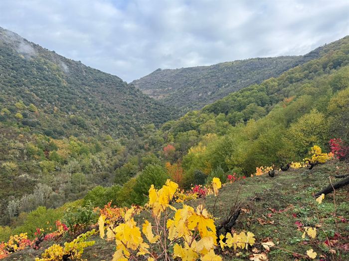 somoscomarca_obolo_rutatuxeasermitas_cañondobibei1798