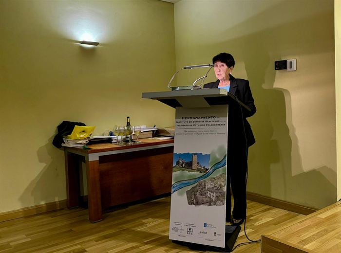 somoscomarca_navidad_ocastro_luces_14