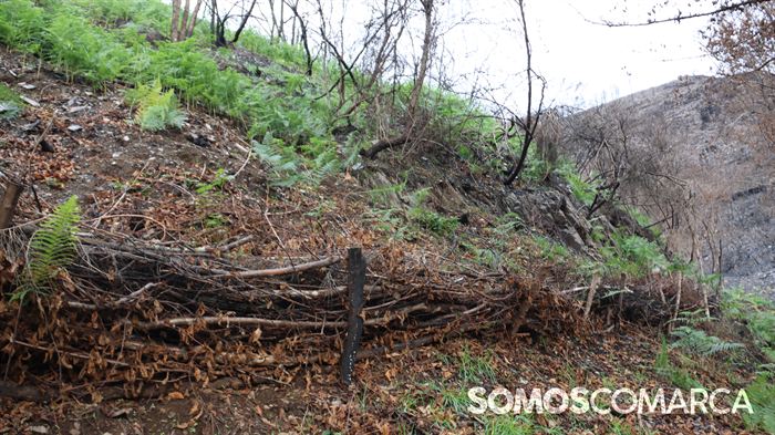 somoscomarca_rubia_captacion_elias_manuelpardo57