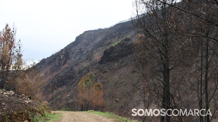 somoscomarca_rubia_captacion_elias_manuelpardo61